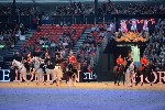 Cavalry - 00104